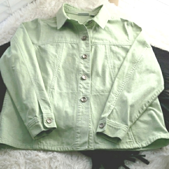 SUSAN GRAVER DENIM JACKET SZ L LIGHT GREEN - Picture 4 of 8